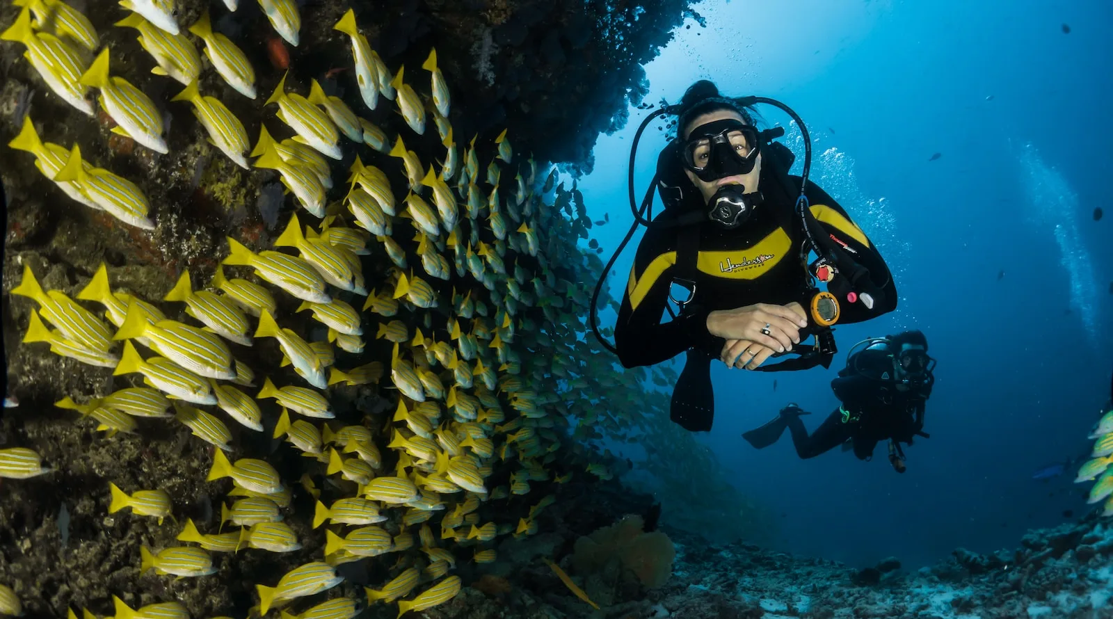two people scuba diving underwater