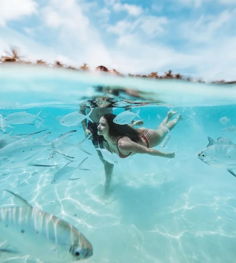 two people diving on clear body of water